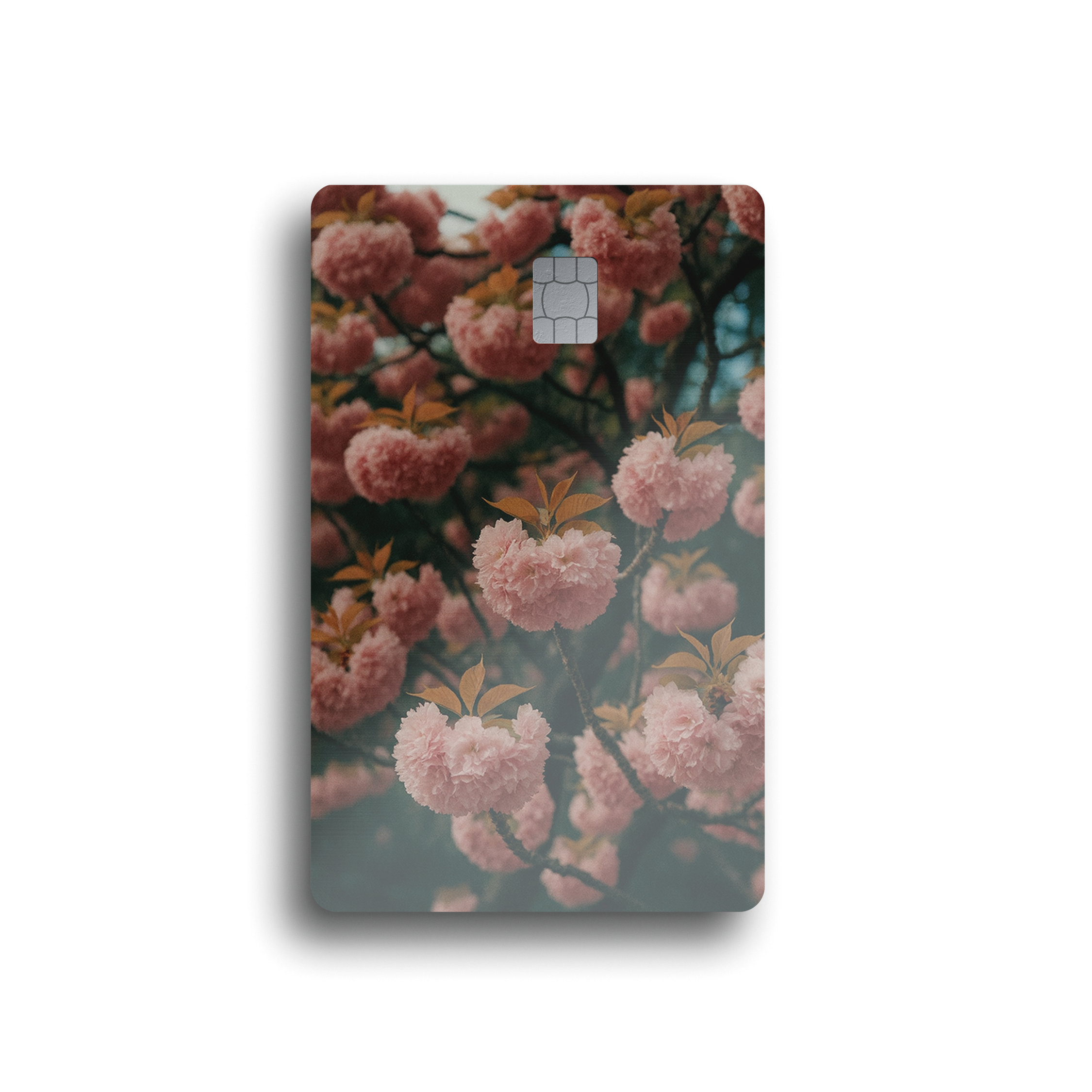 Vintage Sakura Card Skin